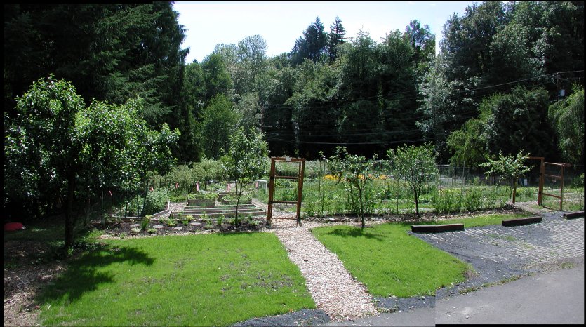 Garden in 2005